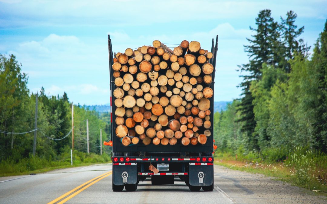 What Happens If a CDL Driver Is Arrested for DUI in Georgia?