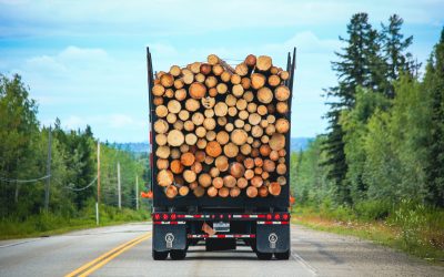 3 Helpful Answers: What Happens If a CDL Driver Is Arrested for DUI in Georgia?