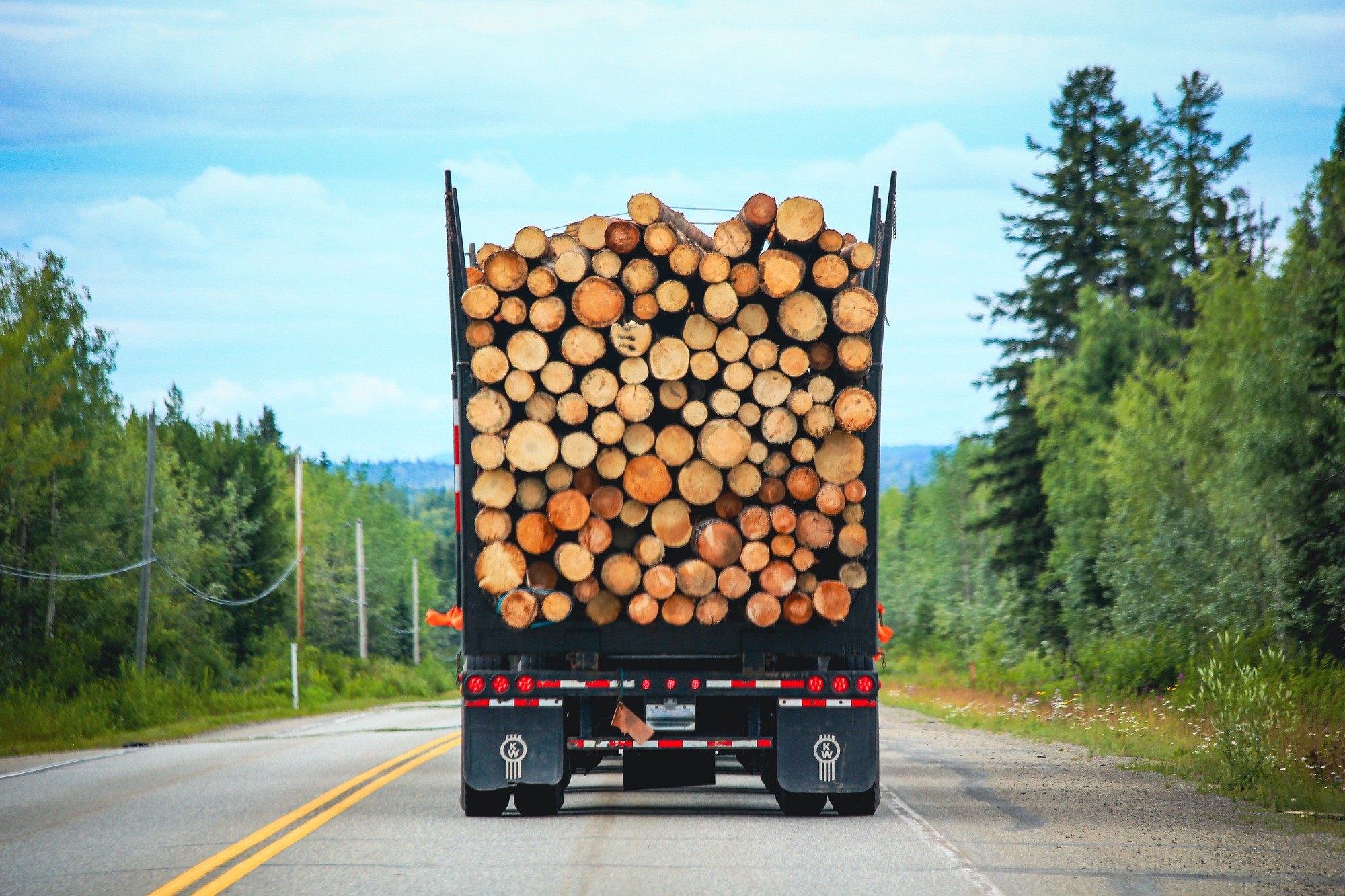 What Happens If a CDL Driver Is Arrested for DUI in Georgia?